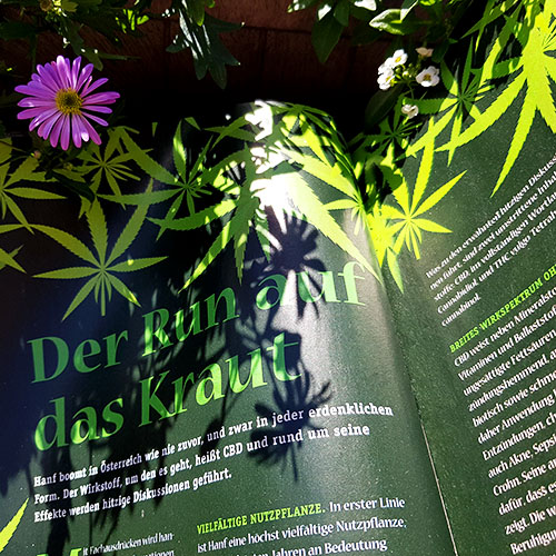 Erste Folie